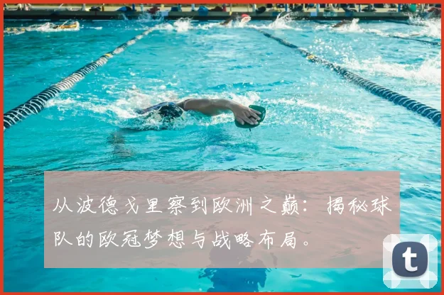 从波德戈里察到欧洲之巅：揭秘球队的欧冠梦想与战略布局。