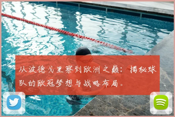 从波德戈里察到欧洲之巅：揭秘球队的欧冠梦想与战略布局。