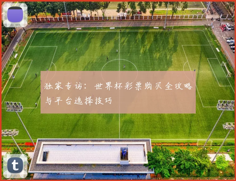 独家专访：世界杯彩票购买全攻略与平台选择技巧