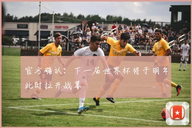 官方确认：下一届世界杯将于明年此时拉开战幕