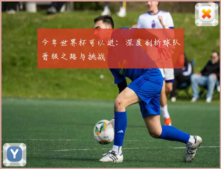 今年世界杯可以进：深度剖析球队晋级之路与挑战