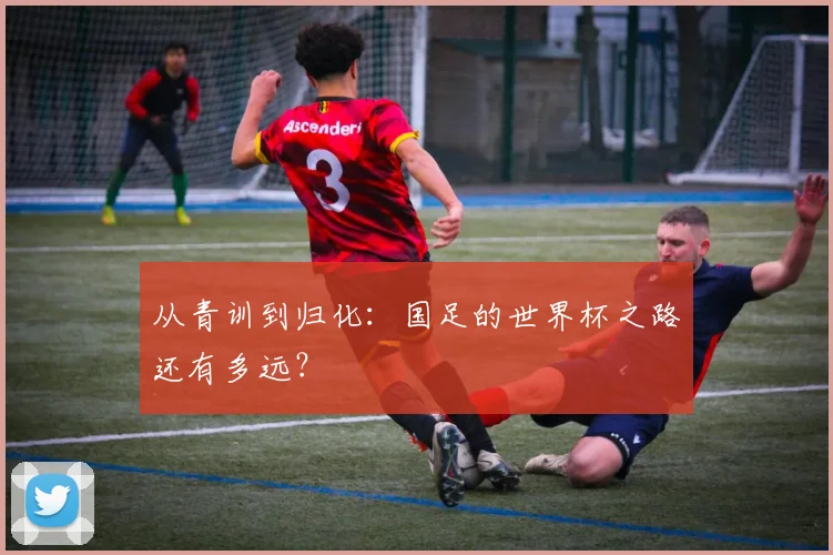 从青训到归化：国足的世界杯之路还有多远？