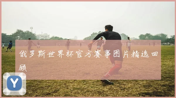 俄罗斯世界杯官方赛事图片精选回顾