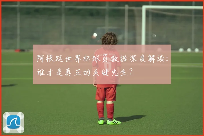 阿根廷世界杯球员数据深度解读:谁才是真正的关键先生?