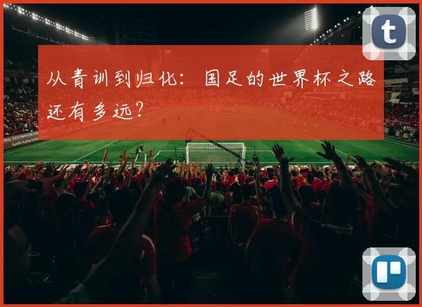 从青训到归化:国足的世界杯之路还有多远?
