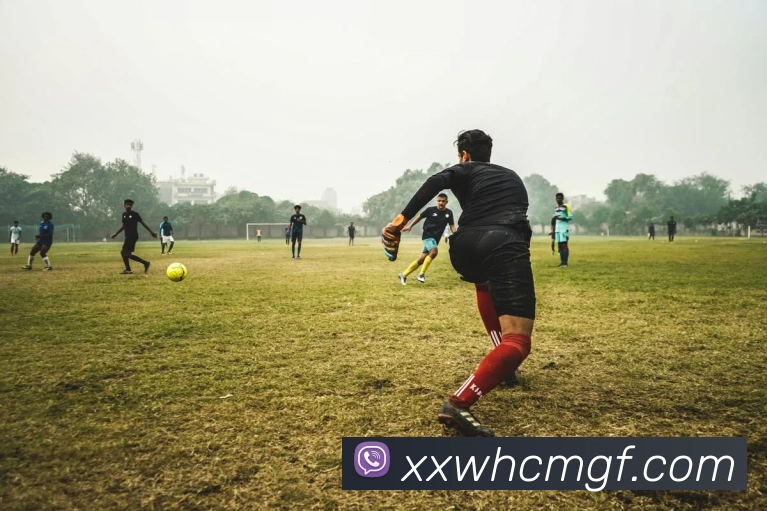 App Interface Preview