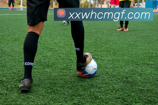 9游会官网入口APP 封面图